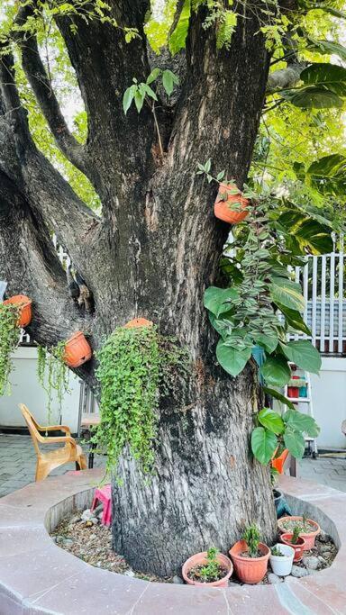 A Luxury Duplex In Dili City, Timor-Leste Exteriör bild